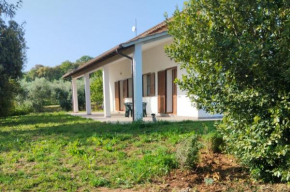 Agriturismo La tana della volpe